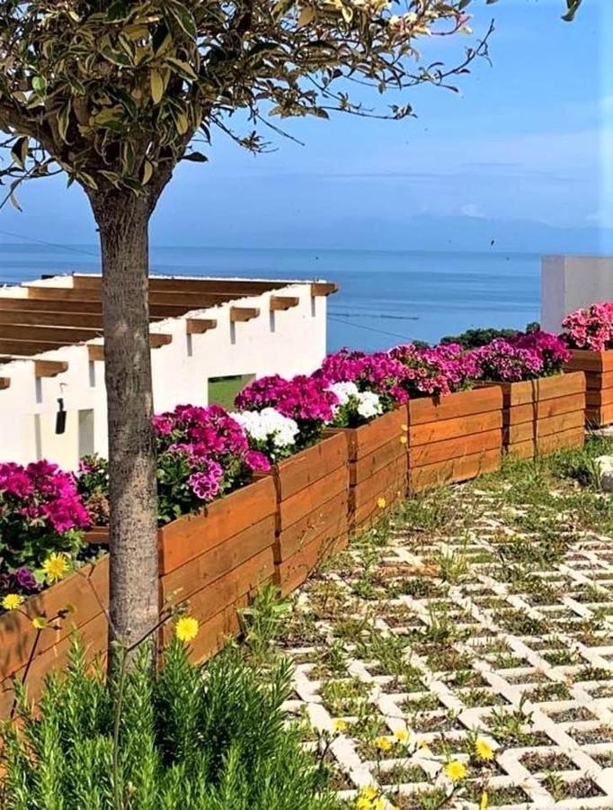 Saint Michelle Residence Shetaj Ngoại thất bức ảnh
